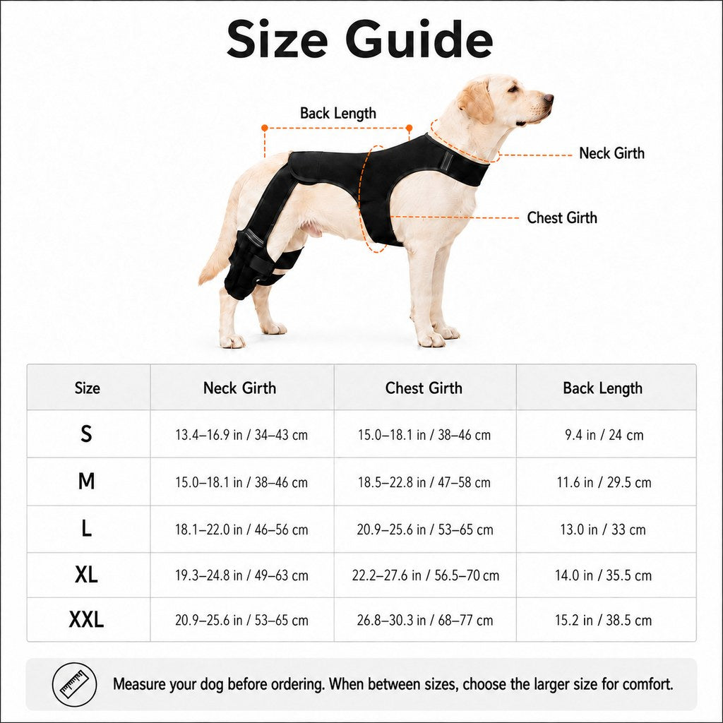 Dog Rear Leg Support Brace, Anti-Slip