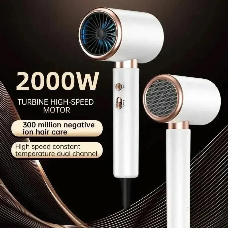 2400W Ionic Hair Dryer for Fast, Frizz-Free & Shiny Styling
