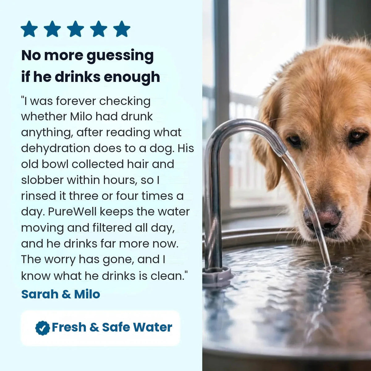Stainless Steel Dog Water Fountain