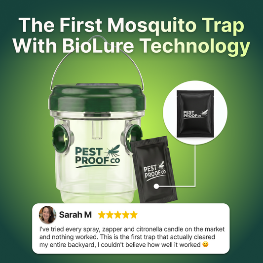 Outdoor Mosquito Trap Set