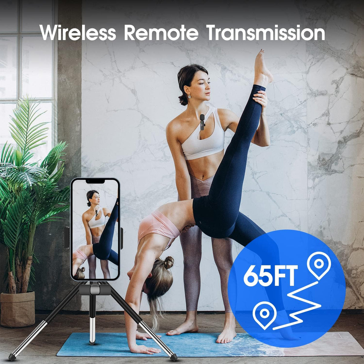 2 Pack Wireless Microphone For
