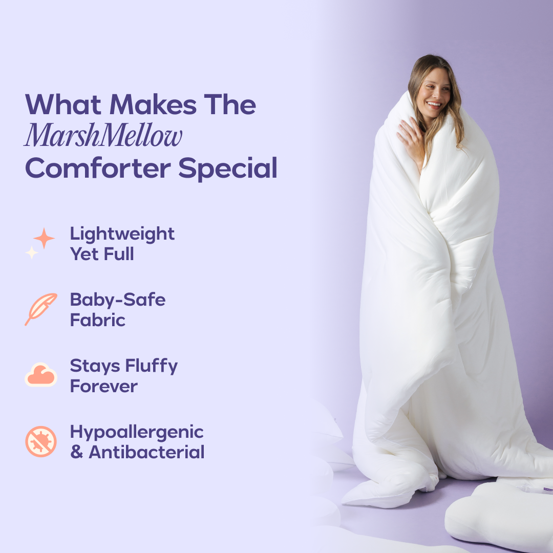 Cloud Comforter Set with 2 Puff Pillows