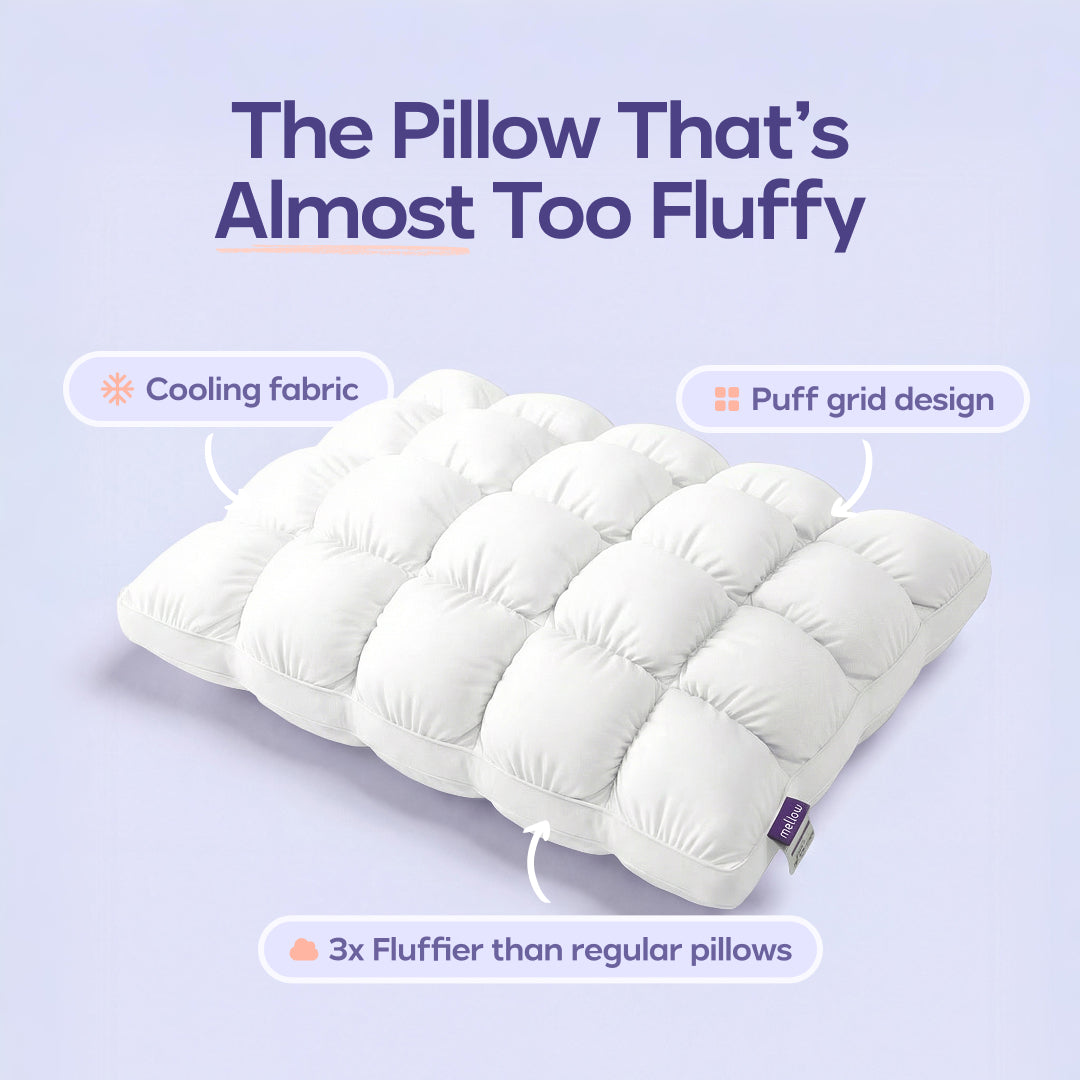 Cloud Comforter Set with 2 Puff Pillows