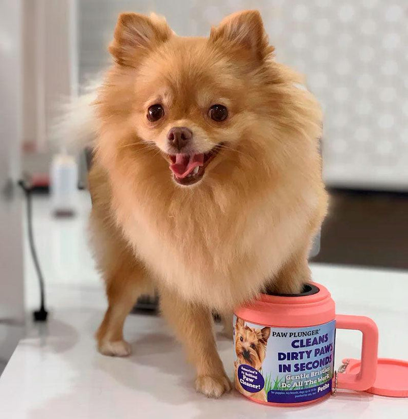 Gentle Paw Cleaner Cup for Dogs