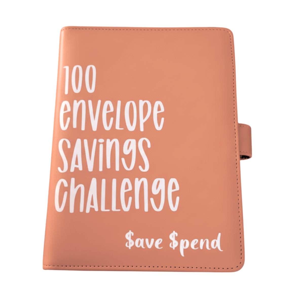 100 Envelope Challenge Budget Binder for Family Savings