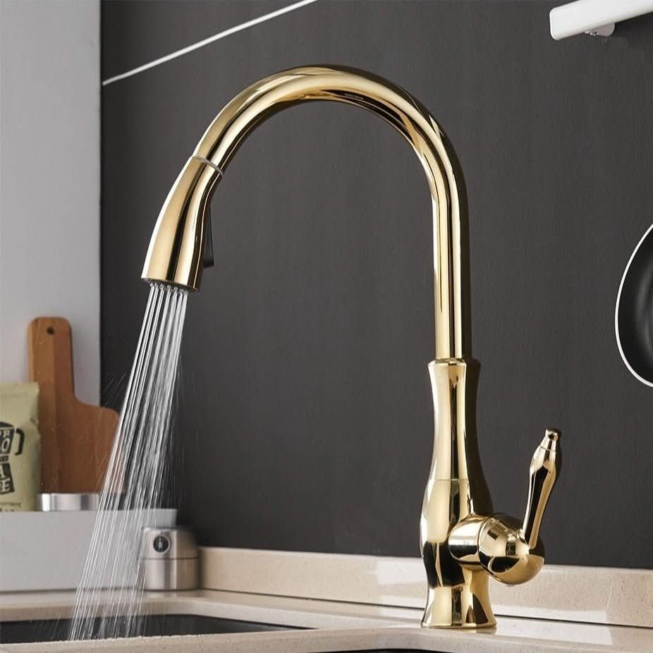 Extendable Stainless Steel Kitchen Tap for Flexible Rinsing