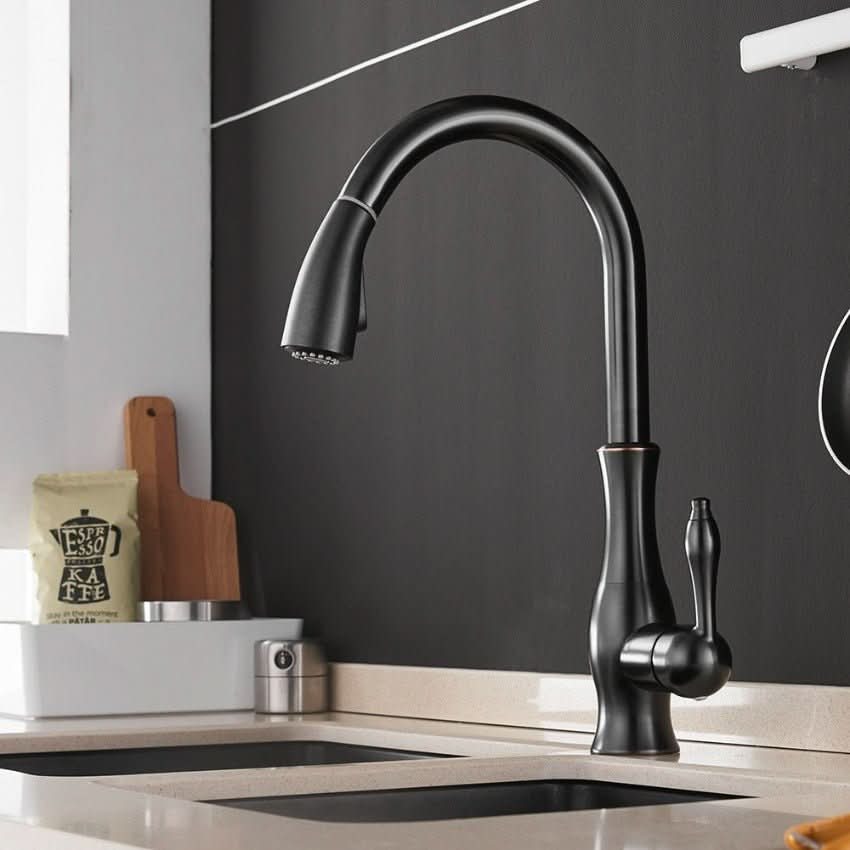 Extendable Stainless Steel Kitchen Tap for Flexible Rinsing
