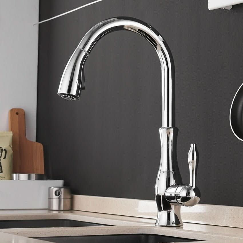Extendable Stainless Steel Kitchen Tap for Flexible Rinsing