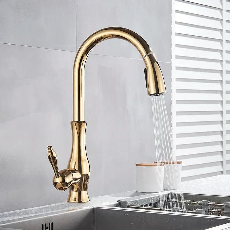 Luxurious Pull-Out Kitchen Mixer with 360° Rotation