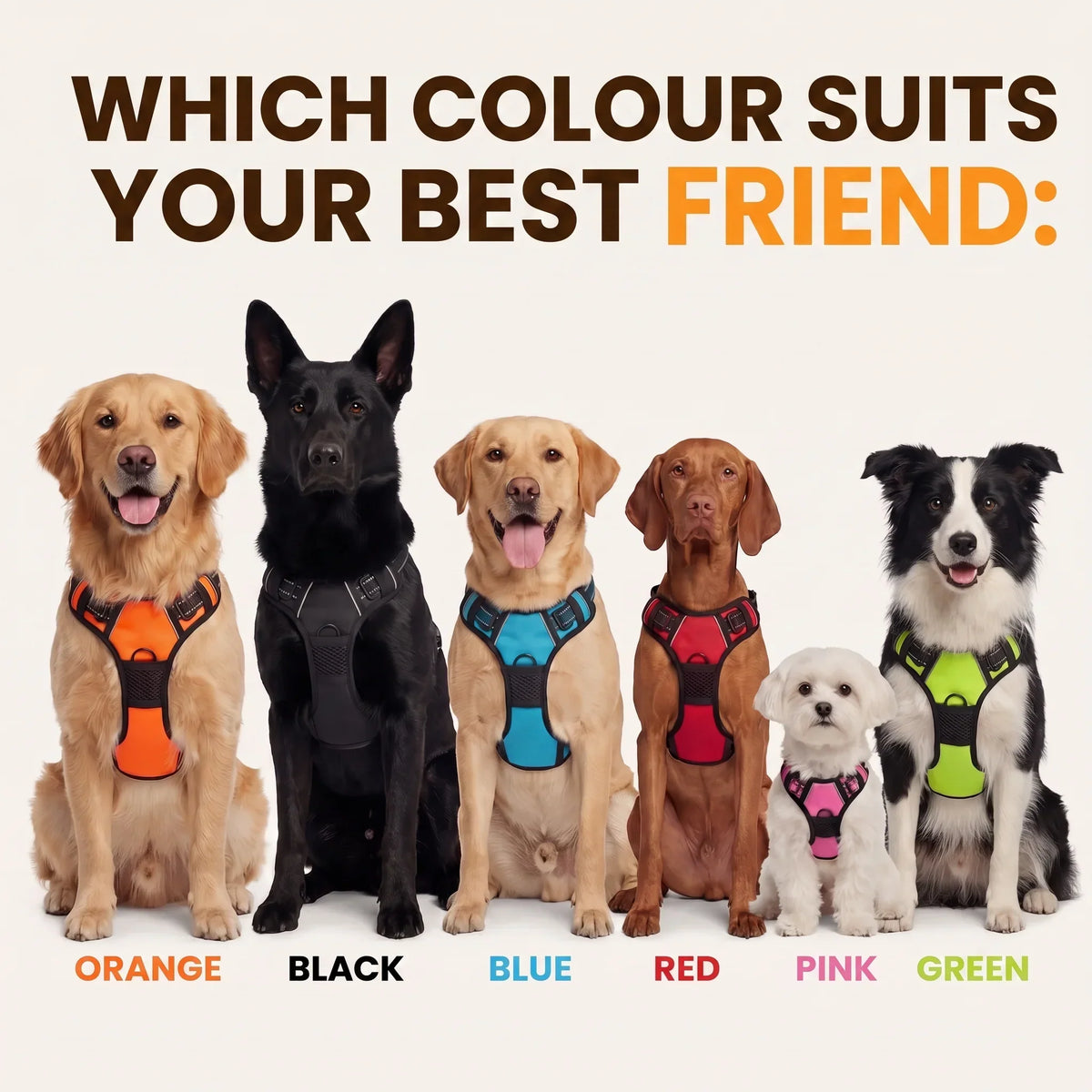 No-Pull Dog Harness