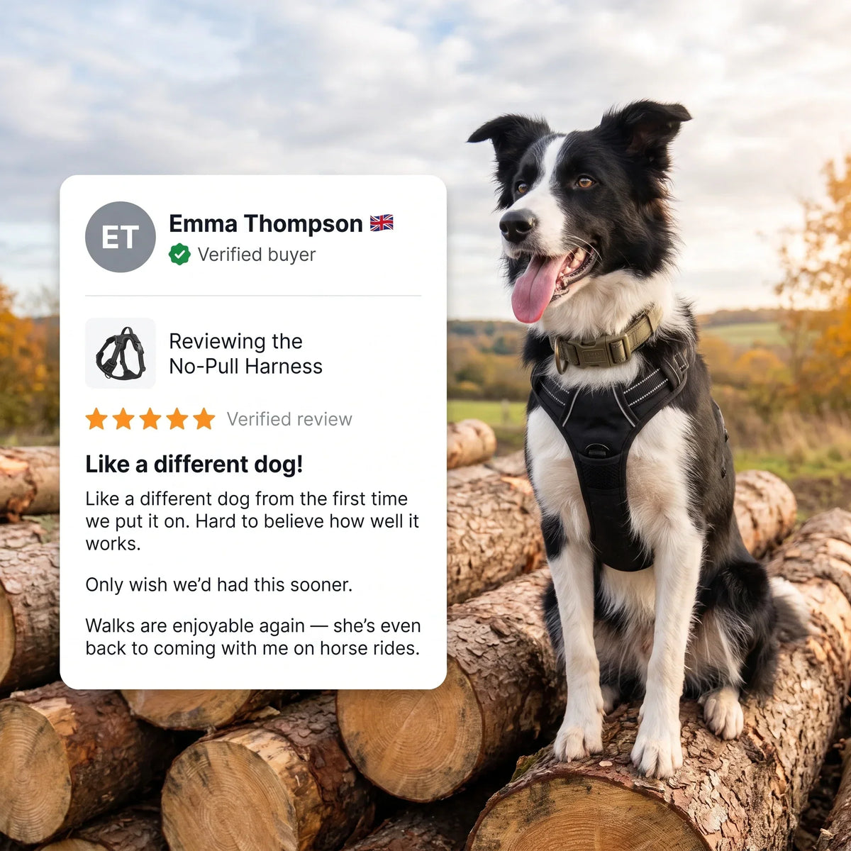 No-Pull Dog Harness