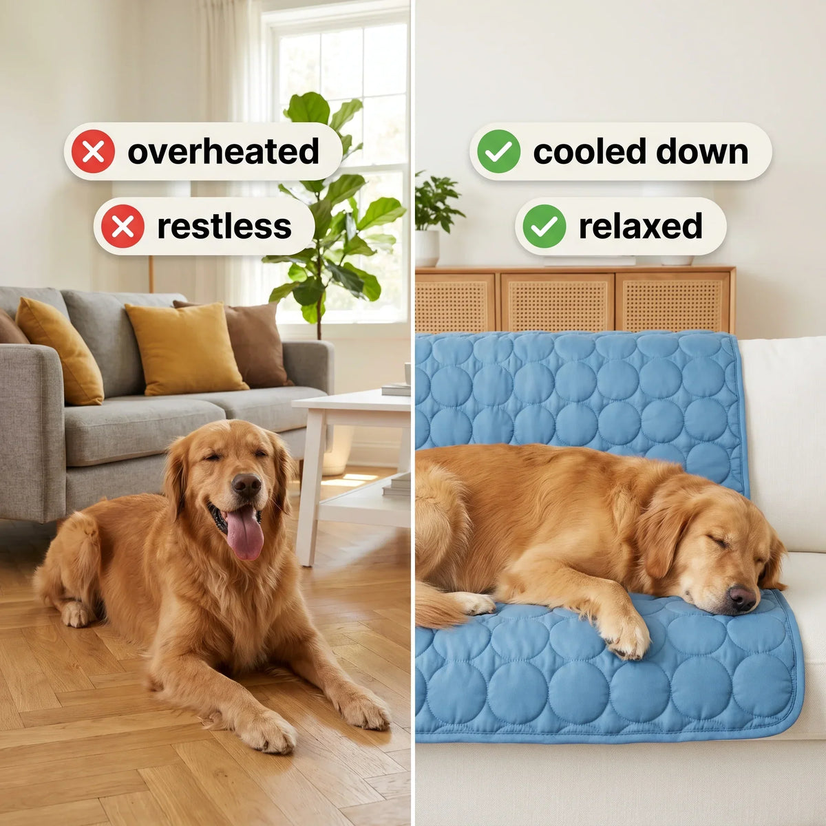 Dog Cooling Mat