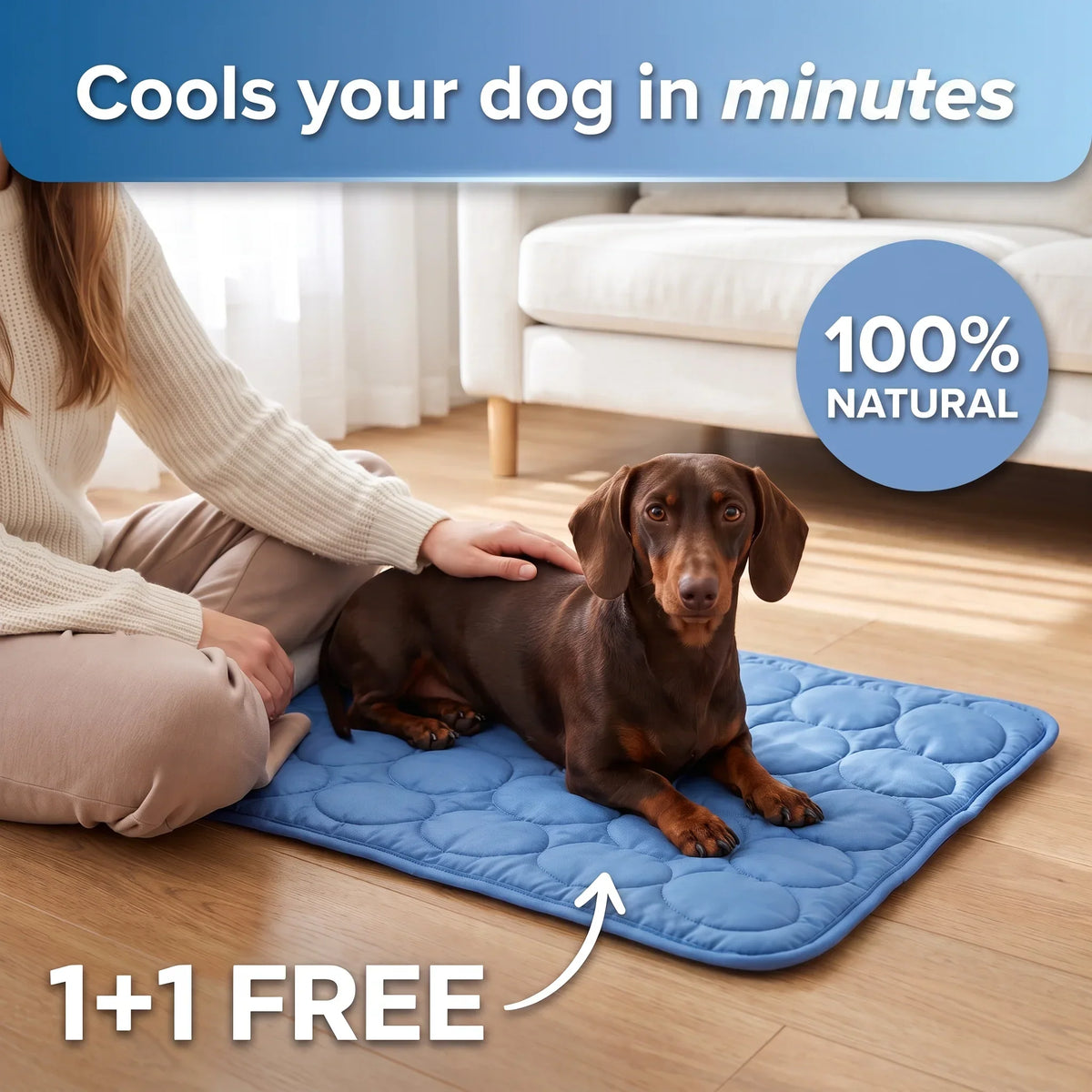 Dog Cooling Mat