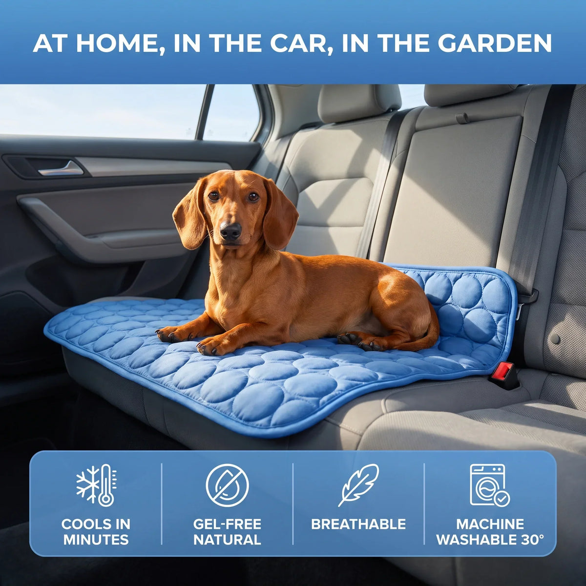 Dog Cooling Mat