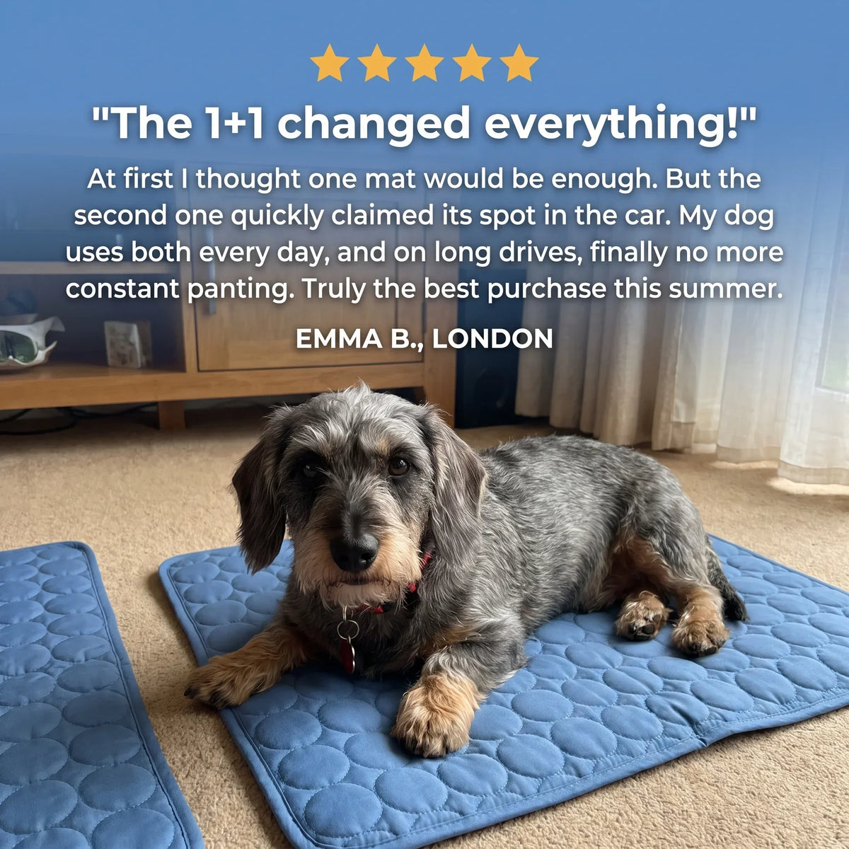 Dog Cooling Mat