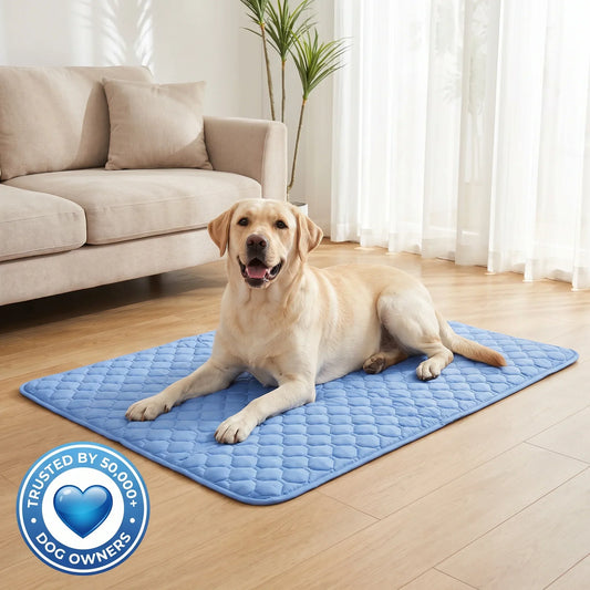 Dog Cooling Mat