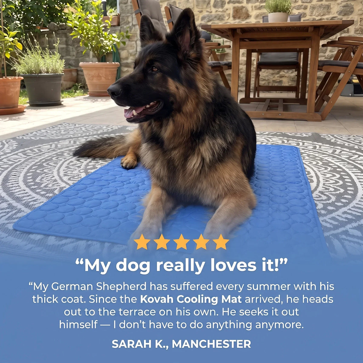 Dog Cooling Mat