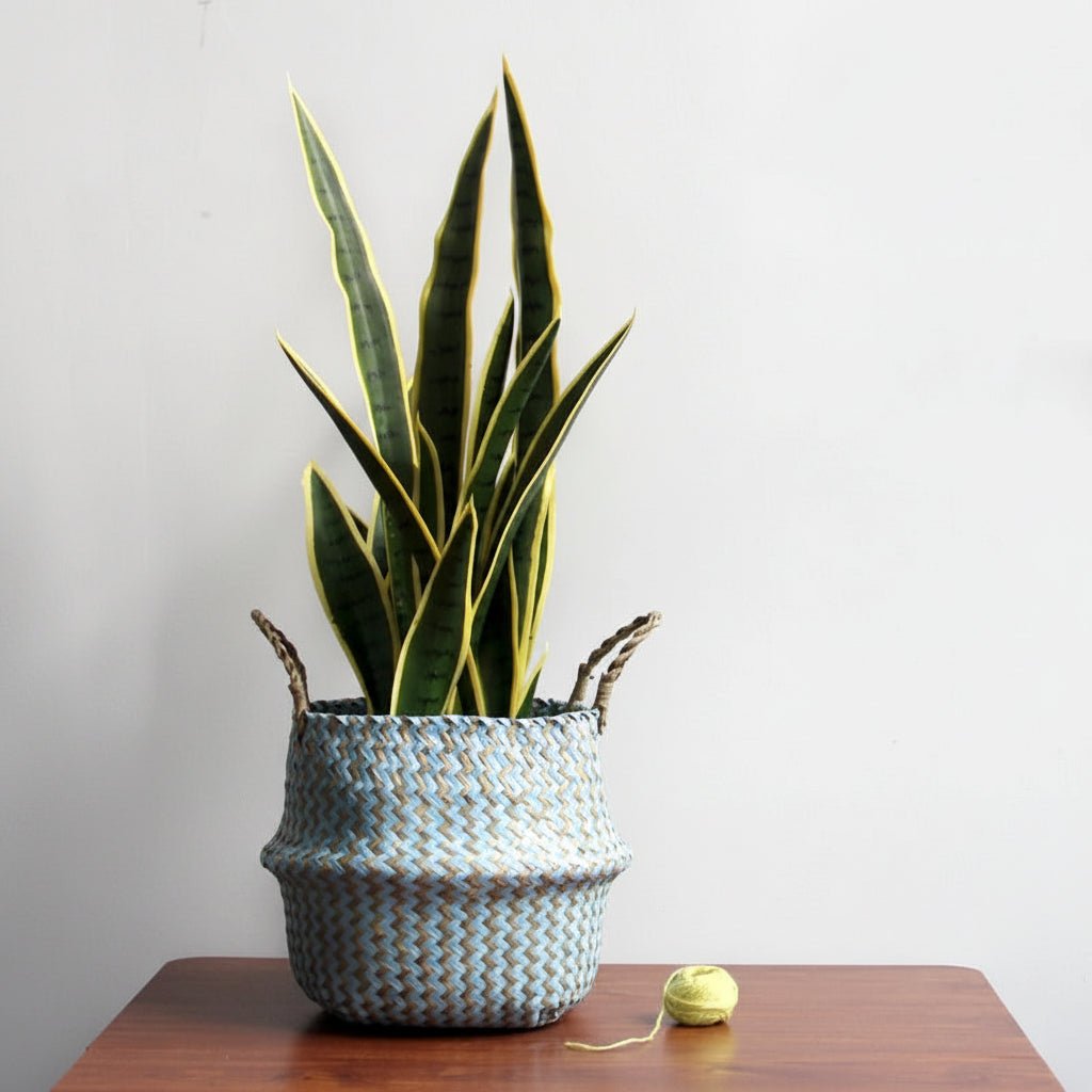 Boho Handmade Wicker Basket Collapsible Flower Pot Organizer