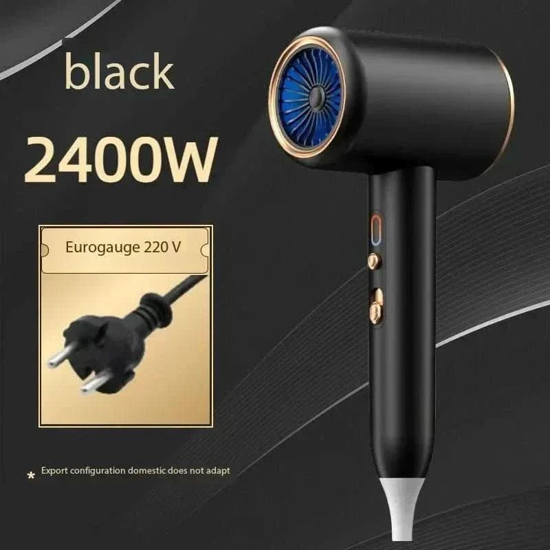 2400W Ionic Hair Dryer for Fast, Frizz-Free & Shiny Styling