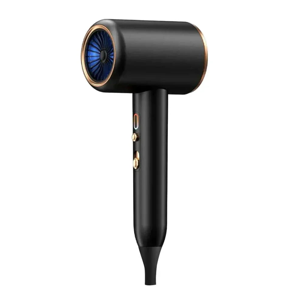 2400W Ionic Hair Dryer for Fast, Frizz-Free & Shiny Styling